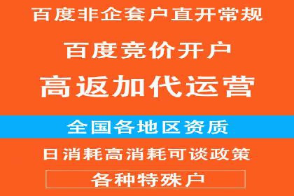 SEM公司案例研究：数据驱动营销策略